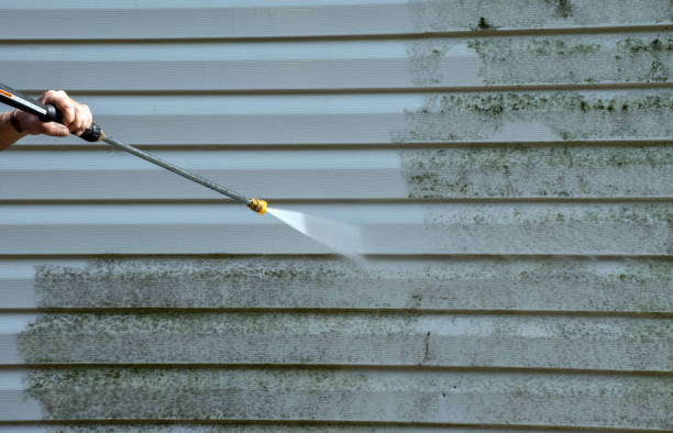 Best Patio and Deck Pressure Washing  in Mountain Lake Park, MD
